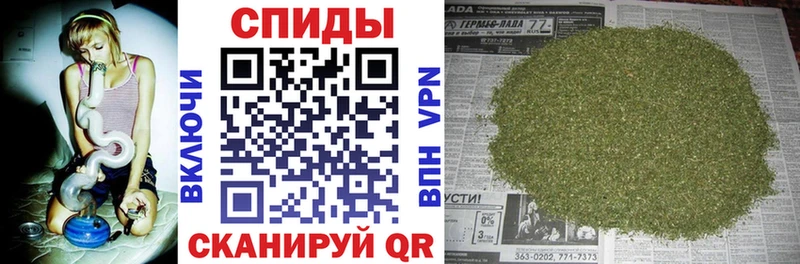 Бутират буратино как найти Дигора