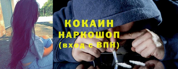 apvp Белокуриха