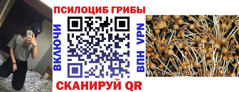 Галлюциногенные грибы Psilocybe  гидра ссылки  Дигора 